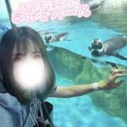 ヒメ日記 2026/02/23 16:38 投稿 凛々花-りりか【FG系列】 ほんとうの人妻　柏店