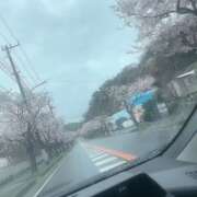 ヒメ日記 2026/03/31 10:17 投稿 凛々花-りりか【FG系列】 ほんとうの人妻　柏店