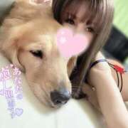 ヒメ日記 2026/04/02 23:44 投稿 凛々花-りりか【FG系列】 ほんとうの人妻　柏店