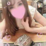 ヒメ日記 2026/05/13 19:33 投稿 凛々花-りりか【FG系列】 ほんとうの人妻　柏店