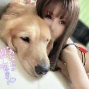 ヒメ日記 2026/06/04 00:42 投稿 凛々花-りりか【FG系列】 ほんとうの人妻　柏店