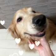 ヒメ日記 2026/07/03 19:51 投稿 凛々花-りりか【FG系列】 ほんとうの人妻 柏店