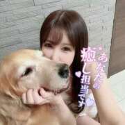 ヒメ日記 2026/07/12 14:32 投稿 凛々花-りりか【FG系列】 ほんとうの人妻　柏店
