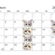 ヒメ日記 2025/03/03 12:45 投稿 月瀬 かのん Canx2京都店