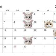 ヒメ日記 2025/03/30 12:30 投稿 月瀬 かのん Canx2京都店