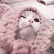 ヒメ日記 2025/01/11 16:09 投稿 花音(かのん) グランドオペラ福岡