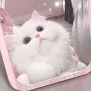 ヒメ日記 2025/01/16 22:41 投稿 花音(かのん) グランドオペラ福岡