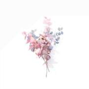 ヒメ日記 2025/01/22 21:34 投稿 花音(かのん) グランドオペラ福岡