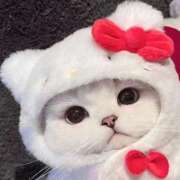 ヒメ日記 2025/02/08 22:06 投稿 花音(かのん) グランドオペラ福岡