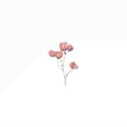 ヒメ日記 2025/02/14 11:02 投稿 花音(かのん) グランドオペラ福岡