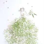 ヒメ日記 2025/02/14 17:19 投稿 花音(かのん) グランドオペラ福岡