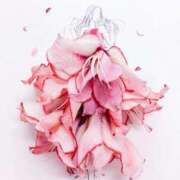 ヒメ日記 2025/02/23 16:02 投稿 花音(かのん) グランドオペラ福岡