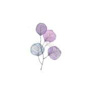 ヒメ日記 2025/03/01 21:24 投稿 花音(かのん) グランドオペラ福岡