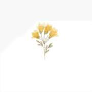 ヒメ日記 2025/04/18 00:35 投稿 花音(かのん) グランドオペラ福岡