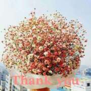 ヒメ日記 2025/04/28 10:24 投稿 花音(かのん) グランドオペラ福岡