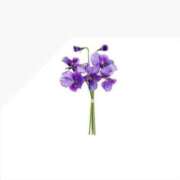 ヒメ日記 2025/05/18 23:21 投稿 花音(かのん) グランドオペラ福岡