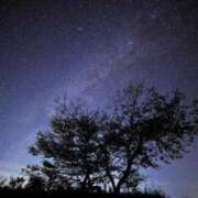 ヒメ日記 2025/05/28 23:31 投稿 花音(かのん) グランドオペラ福岡