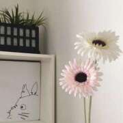 ヒメ日記 2025/07/18 07:01 投稿 花音(かのん) グランドオペラ福岡