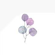 ヒメ日記 2025/10/18 01:51 投稿 花音(かのん) グランドオペラ福岡