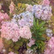 ヒメ日記 2025/06/18 12:15 投稿 あみ 梅田アバンチュール