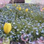 ヒメ日記 2026/04/10 21:48 投稿 あみ 梅田アバンチュール