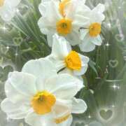 ヒメ日記 2026/04/14 19:37 投稿 あみ 梅田アバンチュール