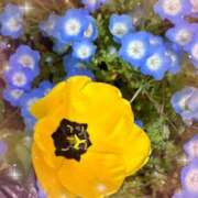 ヒメ日記 2026/05/01 12:39 投稿 あみ 梅田アバンチュール