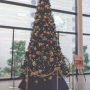 ヒメ日記 2024/12/16 23:51 投稿 あかね 奥様さくら難波店