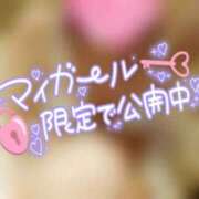 ヒメ日記 2025/02/13 16:41 投稿 あかね 奥様さくら難波店