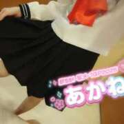 ヒメ日記 2025/04/01 20:55 投稿 あかね 奥様さくら難波店