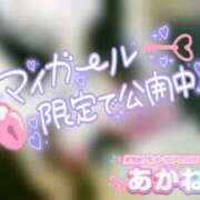 ヒメ日記 2025/04/02 22:01 投稿 あかね 奥様さくら難波店