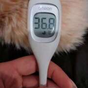 ヒメ日記 2026/02/27 09:31 投稿 あかね 奥様さくら難波店