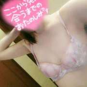 ヒメ日記 2025/03/26 20:22 投稿 あかね clubさくら難波店