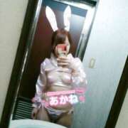 ヒメ日記 2025/04/02 20:47 投稿 あかね clubさくら難波店