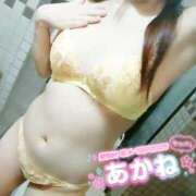 ヒメ日記 2025/04/07 21:27 投稿 あかね clubさくら難波店