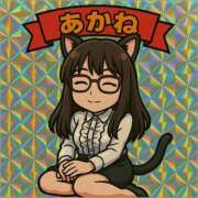 ヒメ日記 2025/04/24 21:00 投稿 あかね clubさくら難波店