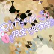 ヒメ日記 2025/04/30 23:57 投稿 あかね clubさくら難波店