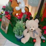 ヒメ日記 2025/11/26 20:37 投稿 あかね clubさくら難波店