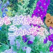 ヒメ日記 2025/07/02 14:46 投稿 もも ぽちゃらん神栖店
