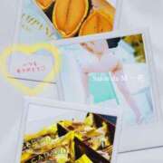 ヒメ日記 2025/02/13 20:05 投稿 一花(いちか) Salon du M-えっちなお姉さんのM性感デリバリー-五反田店