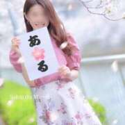 ヒメ日記 2025/04/15 15:45 投稿 一花(いちか) Salon du M-えっちなお姉さんのM性感デリバリー-五反田店