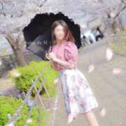 ヒメ日記 2025/05/04 14:19 投稿 一花(いちか) Salon du M-えっちなお姉さんのM性感デリバリー-五反田店