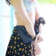 ヒメ日記 2025/06/24 22:45 投稿 一花(いちか) Salon du M-えっちなお姉さんのM性感デリバリー-五反田店