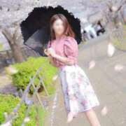 ヒメ日記 2026/04/03 19:42 投稿 一花(いちか) Salon du M-えっちなお姉さんのM性感デリバリー-五反田店