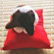 ヒメ日記 2025/04/11 12:55 投稿 純奈(じゅんな) Salon du M-えっちなお姉さんのM性感デリバリー-五反田店