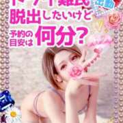 ヒメ日記 2025/09/04 12:18 投稿 純奈(じゅんな) Salon du M-えっちなお姉さんのM性感デリバリー-五反田店