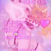 ヒメ日記 2025/10/11 06:08 投稿 純奈(じゅんな) Salon du M-えっちなお姉さんのM性感デリバリー-五反田店