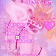 ヒメ日記 2025/12/20 00:26 投稿 純奈(じゅんな) Salon du M-えっちなお姉さんのM性感デリバリー-五反田店