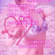 ヒメ日記 2026/02/16 01:14 投稿 純奈(じゅんな) Salon du M-えっちなお姉さんのM性感デリバリー-五反田店