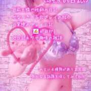 ヒメ日記 2026/04/19 00:38 投稿 純奈(じゅんな) Salon du M-えっちなお姉さんのM性感デリバリー-五反田店